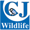 CJ WildBird Foods