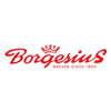 Borgesius Holding