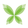 Tropiflora